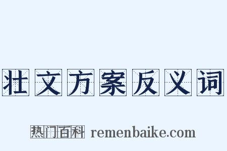 壮文方案反义词是什么意思的图片